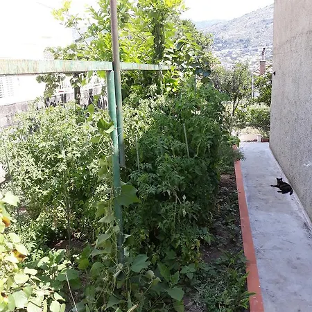 Studio Garden Apartment